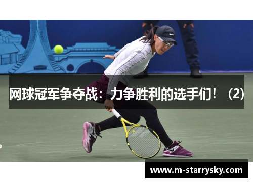 网球冠军争夺战：力争胜利的选手们！ (2)
