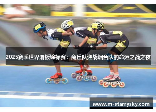 2025赛季世界滑板锦标赛：商丘队迎战烟台队的命运之战之夜