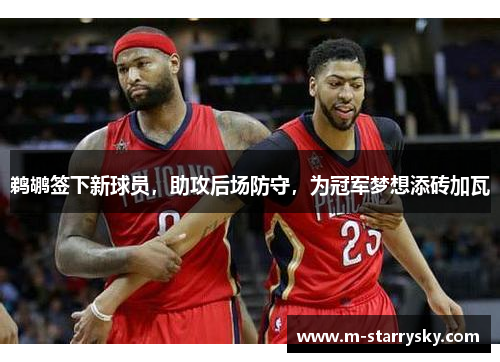 鹈鹕签下新球员，助攻后场防守，为冠军梦想添砖加瓦